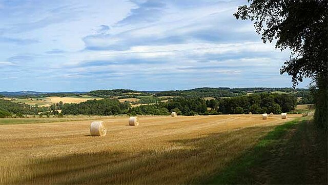 Brehberg