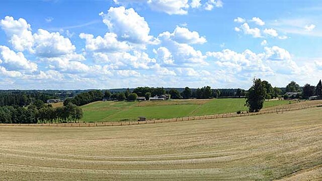 Ruitzhof