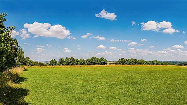 Pferdekopf