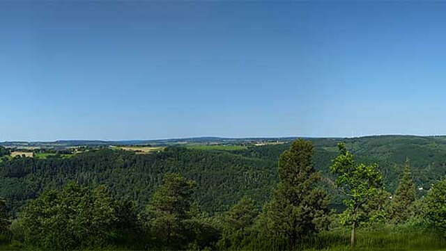 Kuhkopf
